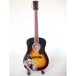 Guitare miniature acoustique hommage à Johnny Hallyday vue globale de face