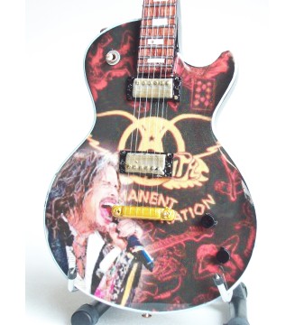 Guitare miniature Aerosmith et Steven Tyler vue de face en gros plan